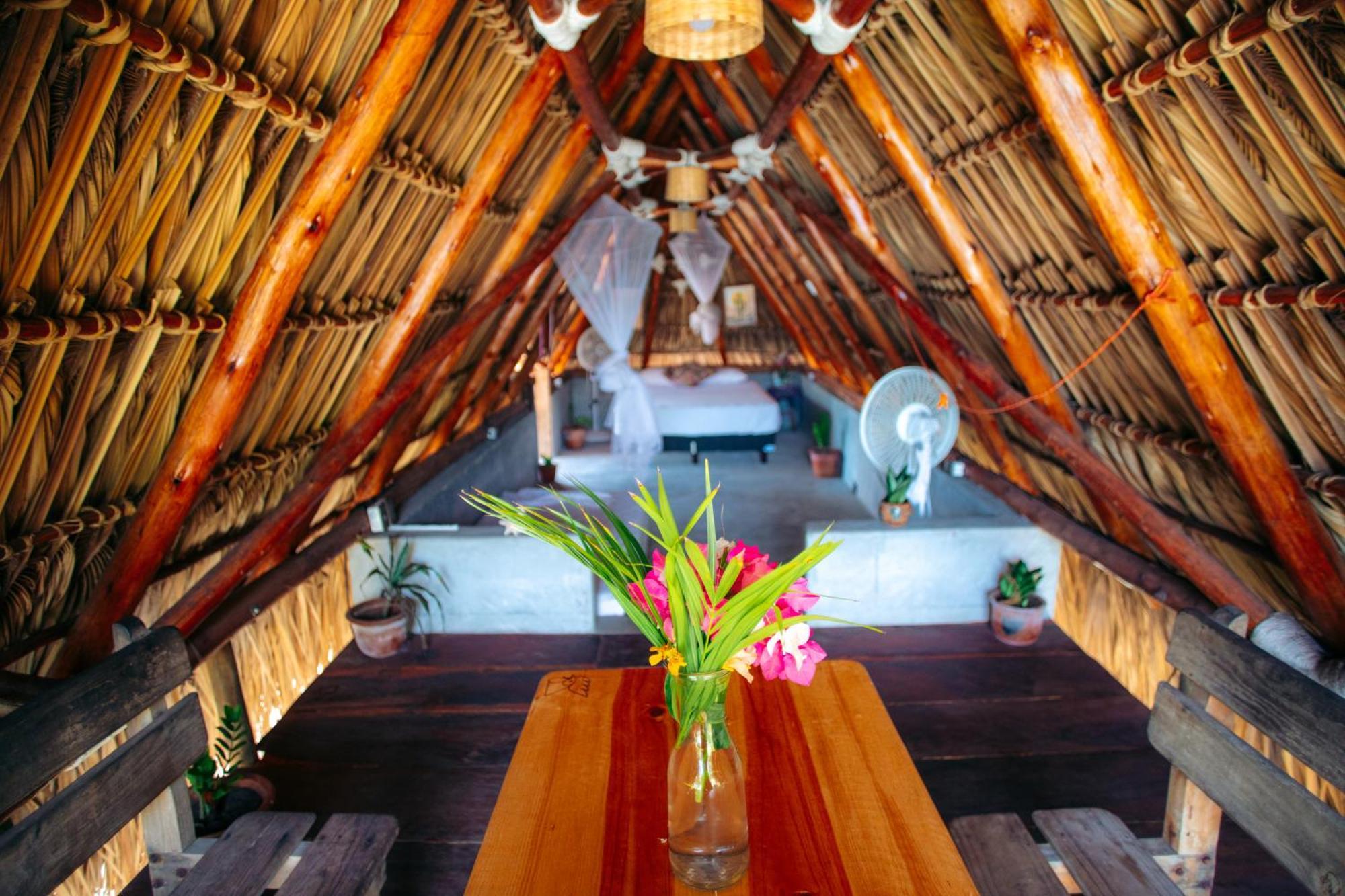 Cocori Lodge Paredon El Paredon Buena Vista ภายนอก รูปภาพ