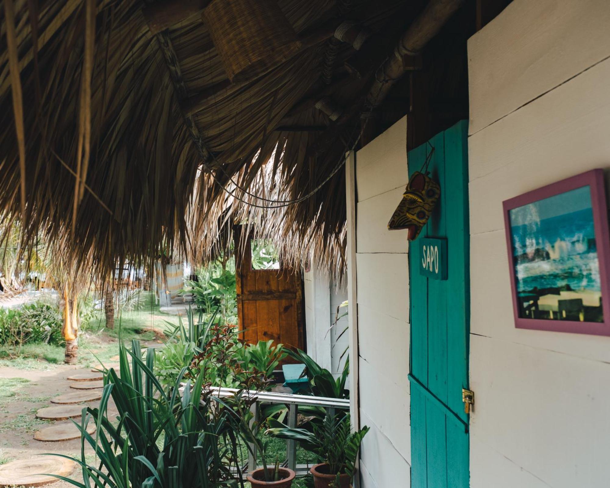 Cocori Lodge Paredon El Paredon Buena Vista ภายนอก รูปภาพ