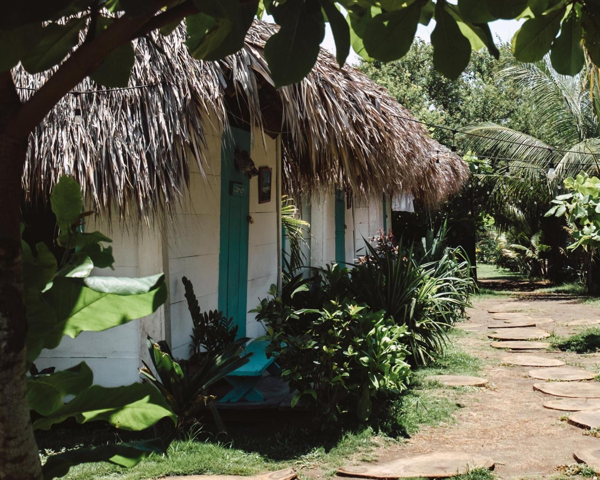 Cocori Lodge Paredon El Paredon Buena Vista ภายนอก รูปภาพ