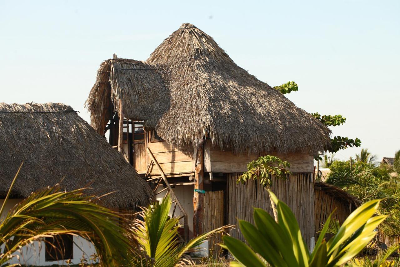 Cocori Lodge Paredon El Paredon Buena Vista ภายนอก รูปภาพ
