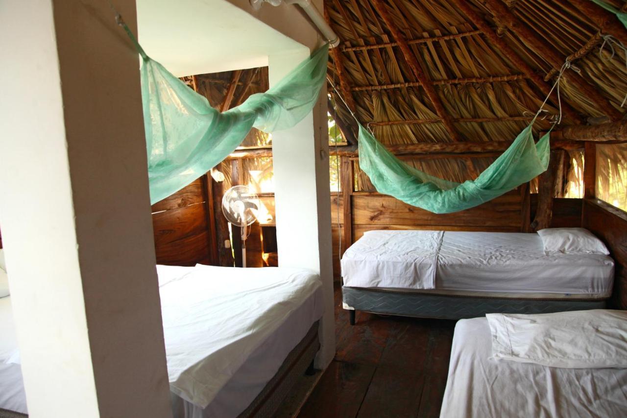 Cocori Lodge Paredon El Paredon Buena Vista ภายนอก รูปภาพ